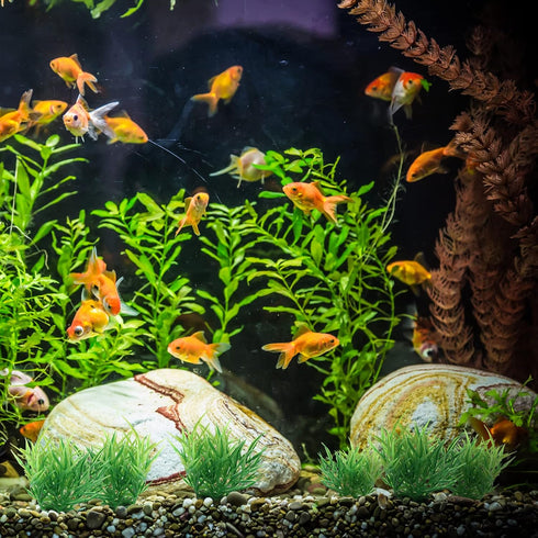 Green Aquarium Plant Ornaments 10Pcs Lifelike Plastic Fish Tank Foreground Grass for Water Tank Decorations