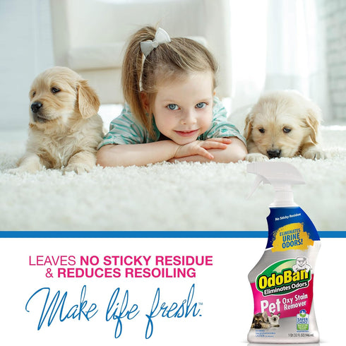 OdoBan Pet Solutions Oxy Stain Remover - Pet Stain Eliminator, 4-Pack, 32 Ounce Spray Each