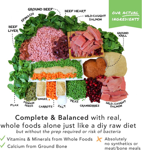 Simple Food Project Beef & Salmon Recipe, Freeze Dried Raw Food for Dogs, 24 oz