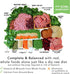 Simple Food Project Beef & Salmon Recipe, Freeze Dried Raw Food for Dogs, 24 oz