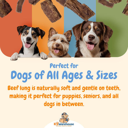K9warehouse Packed Beef Lung Dog Treats - Two Pounds - Dehydrated & Roasted Tips - All Natural Dried Treats for Dogs