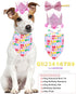 PET SHOW Pink Floral Hat, Bandana & Collar Bows Set - Adjustable Birthday Gift for Dog, Cat, Rabbit