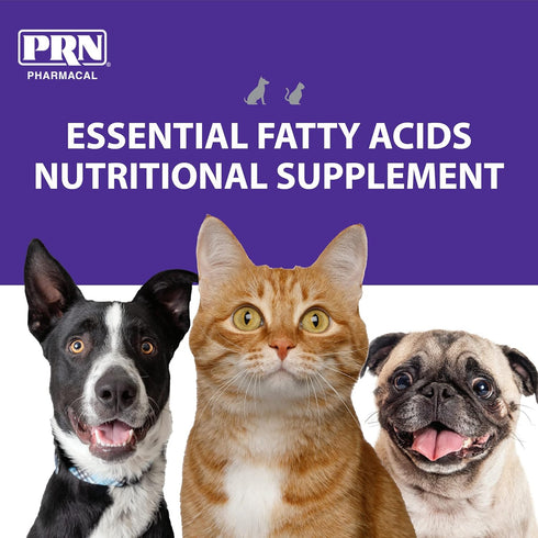 PRN Pharmacal OPTIMA 365 - Essential Fatty Acids Nutritional Supplement for Cats & Dogs - 16 Fl Oz