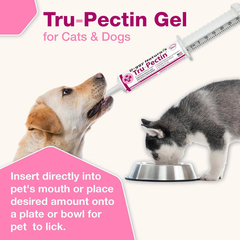 Pet Health Pharma 30cc Tru-Pectin Anti-Diarrheal Oral Paste for Dogs & Cats Chicken Liver Flavor Helps Reduce