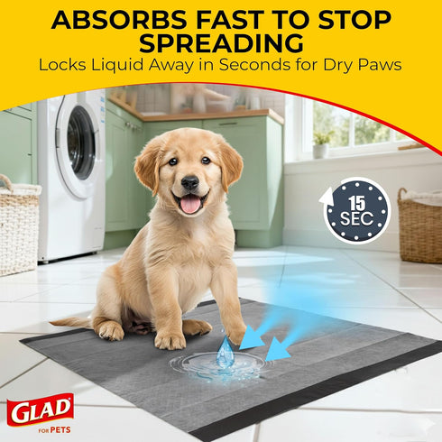 6-Layer 23 23 100 Count Glad for Pets Black Charcoal Puppy Pads - Leak-Proof Construction, Activated Carbon Odor