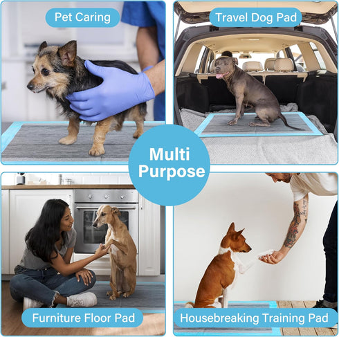 FluffyDream Super Absorbent Waterproof Dog and Puppy Training Pad, Housebreaking Pet Pad, Small-Size, Blue (20 PCS)