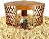 Lucky Critter Hermit Crab Climbing Toy Corner Stand | Hermit Crab Cave Tank Decor Hide Platform | Hermit Crab Hideout