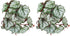2Pcs Artificial Reptile Plant, Plastic Simulation Vine Aquarium Fish Leaves Decoration with Suction Cup