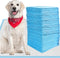 CALPALMY XL Pet Training Pee Pads (50-Count) - X-Large 28" x 34"