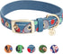 Blueberry Pet Sports Fan Tennis Canvas Adjustable Dog Collar, Teal Blue, Neck 13-16.5", for Medium Breed