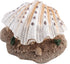 Aquarium Decoration, Fish Tank Simulation Resin Shell Pearl Bubbler Decor, Coral Reefs Aerating Action Ornament