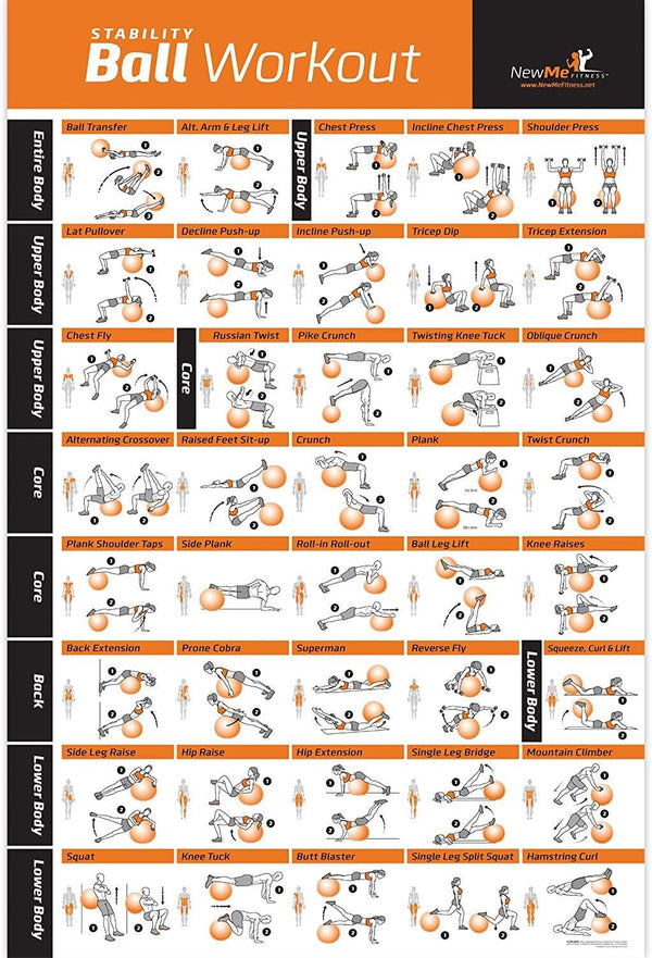 NewMe Fitness Workout Posters for Home Gym - Full Body Exercise Posters for Core, Abs, Legs, Glutes & Upper Body