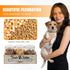 3 Countertop Dog Food Storage Container Pet Treat Organizers with Jars Dog Stuff Dog Treat Container for Farmhouse