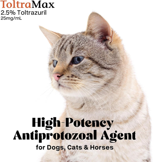 2.5% 240mL/8 Toltrazuril for Horses, Dogs, Cats, Ounce, for Non-Food Chain Animals, Peanut Butter