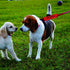 Funny Dog Leash Sleeve Pet Birthday Gift No Dogs! I Like People Dog Leash Wrap Alert Sleeve (I Like People-Sleeve)