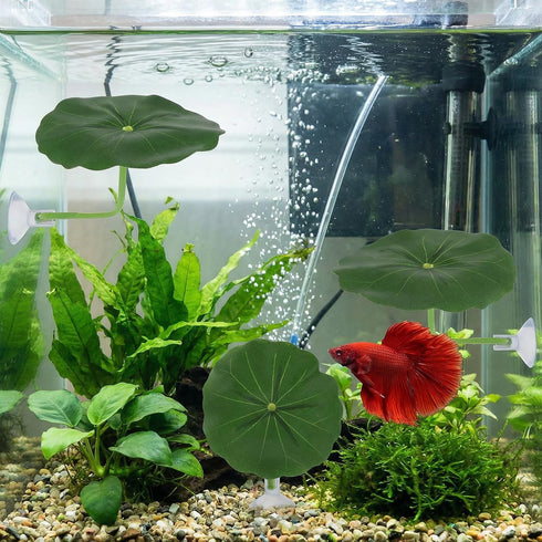 Xinjoduz 3 Pack Hammock (2.56 Inches) Xindojuz Betta Fish Toys, Plastic Betta Bed Leaf for Fish Tank Decorations, Safe