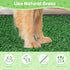 2 20x25inch Dog Grass Pad with Tray, Dog Grass Potty Patch Bathroom Mat, Washable Pee Pad for Puppy Training, Dog
