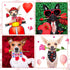 24 Pcs Valentine's Day Dog Bow Set with 10 Pcs 4th of July Dog Bow Ties, 10 Pcs Dog Neckties, 4 Dog Bandanas, Pet