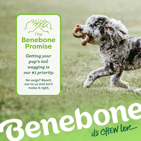 Benebone Tiny 2-Pack Durable Dog Chew Toy, Real Tripe for Aggressive Chewers, Made in USA