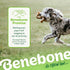 Benebone Tripe Bone Durable Dog Chew Toy for Aggressive Chewers, Made in USA, Large