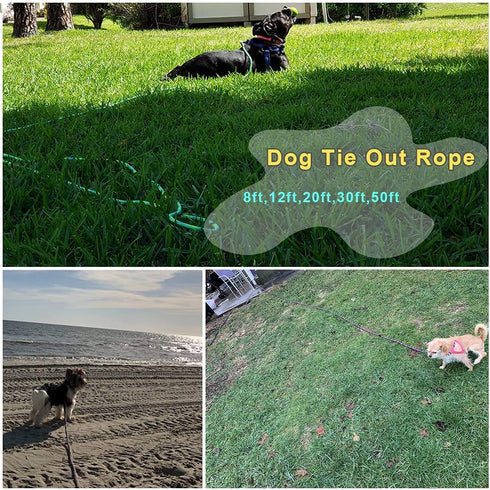 BTINESFUL Dog Tie-Out Long Tether Rope, 8ft/12ft/20ft/30ft/50ft/75ft, Outdoor Leash for Large Medium Small Dogs