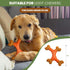 SPOT Bam-Bones Dental X-Bone, Made with Bamboo Fiber, Durable Oral Care Chew for Light Chewers, 6in