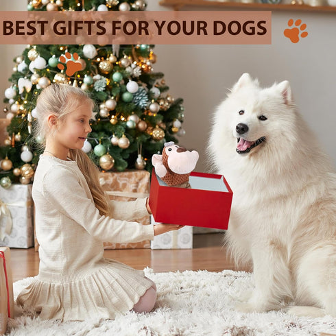 Squeaky Dog Toy with Crinkle Paper, Interactive Plush Chew Toy for Puppies and Dogs, Great for Tug of War