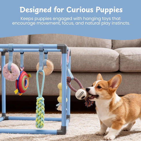 8 Nocciola Puppy Play Gym with Hanging Toys, Indoor Jungle Gym Activities Center Playground for Puppies, Squeaky Plush