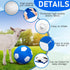 4 Pcs Goat Ball Toy Set with Covers, Anti Burst Training Toy with Inflator Pump