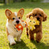 Kyatico 30 Pcs Dog Squeaky Toys, Cute Plush Small Dog Toys with Squeakers,Interactive Puppy Chew Toys for Small Medium