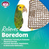 Super Bird Creations SB50002 Seagrass Mat for Cage Decor, Pet Enrichment, Safe for Birds & Reptiles (3 Pack)