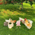 MHLLGN Chicken Coop Accessories, Beak Grinding Calcium Stone with Woodem Stake, Chicken Enrichment Toys, Chicken Coop