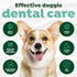 TropiClean Dog Dental Hygiene Fresh Breath No Brush Total Care Kit | Easy Teeth Cleaning Water Additive