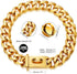 Gold Dog Chain Collar, Heavy Duty Metal Chain with Secure Buckle for Small Dogs (19MM, 10")