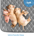 48"x65" Washable Reusable Dog Pee Pads, Absorbent & Waterproof Puppy Training Pad for Crate, Playpen & Carpet, Large