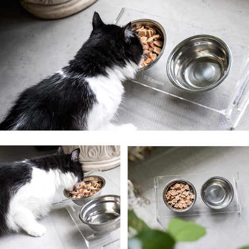 Tilted Raised Elevated Food and Water Bowls Stand for Cat or Small Dogs, Clear Acrylic Stainless Steel Dishes Holder