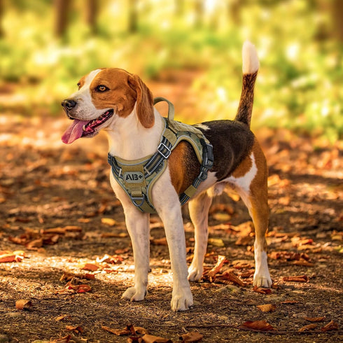 rabbitgoo Small Dog Harness No Pull, Tactical Vest with Molle, Control Handle, Adjustable Reflective Military, Brown