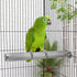 Hypeety Bird Parrot Perch Rod Stand for Conure Cockatiel Parakeet Cage Accessories, Stainless Steel, 11.79 x 0.98 inch