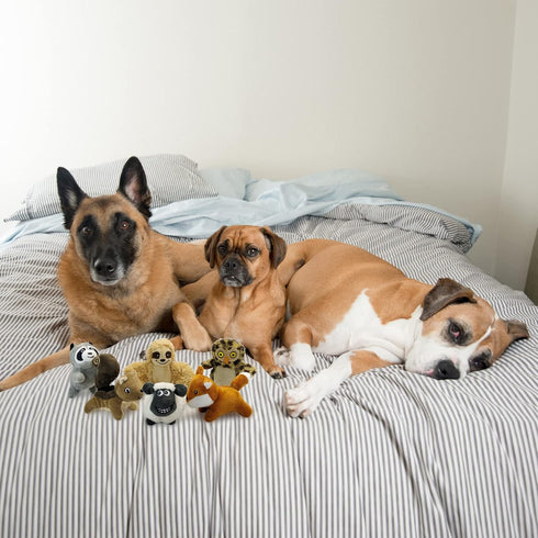 Hide and Seek Dog Puzzle Puppy Toys, Interactive Squeaky Plush Stuffed Toys for Dogs (Sloth, Squirrel, Raccoon, Owl,