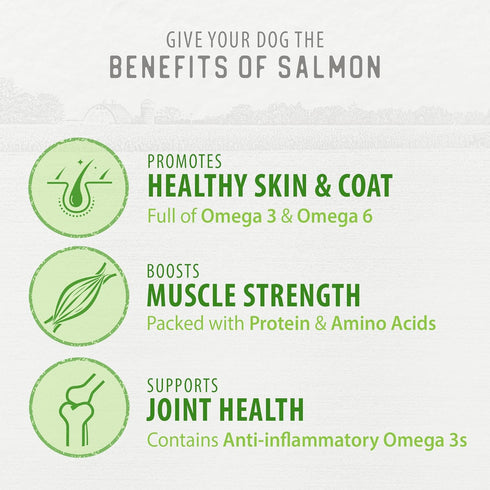 3.2OZ Caledon Farms Freeze Dried Dog Treats - Salmon