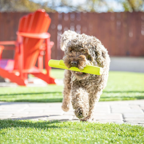 Hyper Pet Fetching Dog Toys, Throwing Stick Made with EVA Foam, Easy to Clean & Floats on Water