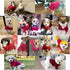 Jecikelon Dog Clothes, Soft Puppies Sweater Winter Outfit for Dogs Small XXS XS Cat Apparel (Medium, Wine)
