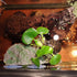 kathson Turtle Basking Platform with Suction Cup, Tortoise Climbing Rest Terrace for Reptile Habitat Rock Decor (L)