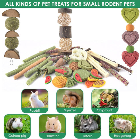 3 Chinchilla, KATUMO Rabbit Chew Toys with Types of Strung Hanging Toys, Natural Bunny Teeth Care Chew Kit Apple Wood