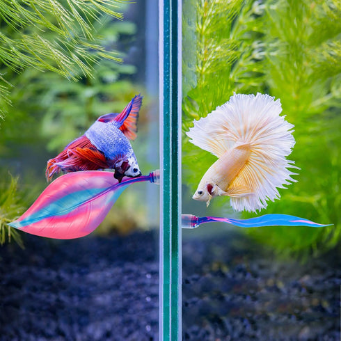 WILLBOND 2 Pieces Silicone Betta Bed Leaf Hammock for Betta Fish, Comfortable and Safe Resting Spot (Blue, Pink)