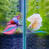 WILLBOND 2 Pieces Silicone Betta Bed Leaf Hammock for Betta Fish, Comfortable and Safe Resting Spot (Blue, Pink)