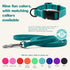 Jelly Pet Leash, Waterproof and Easy to Clean, Made in America, Stronger than Leather (1/2" x 6', Royal Blue)