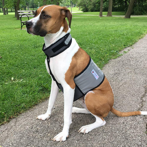 Dog Cooling Vest and Cooling Collar - Ice Vest for Medium Dogs (22" to 27" Girth)