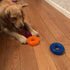 6 PACK - Dog Squeaky Toys 2.6'' Value Set Non-Toxic Dog Squeaky Balls Toss Fetch Toys for Dogs TPR Rubber Puppy Toys Spikey Dog Chew Toys for Small Medium Dogs Pet Toys for Puppy (6 Pack Spiky Ball)