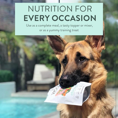 Woof Freeze Dried Dog Food - Chicken Recipe, High Protein Dog Food Topper & Treats, All Life Stages, 1.76 oz
